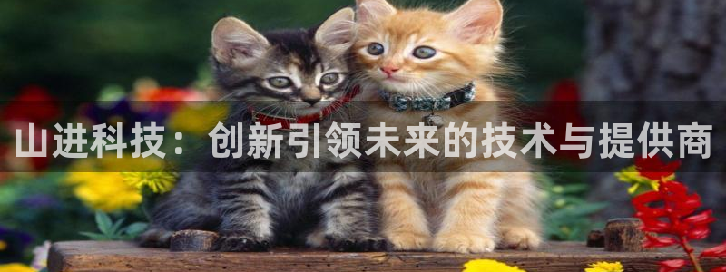 山进科技：创新引领未来的技术与提供商