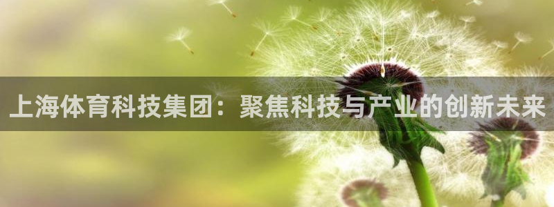 上海体育科技集团：聚焦科技与产业的创新未来
