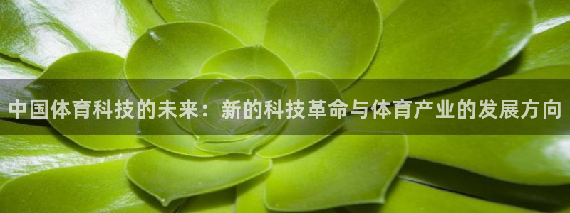 中国体育科技的未来：新的科技革命与体育产业的发展方向