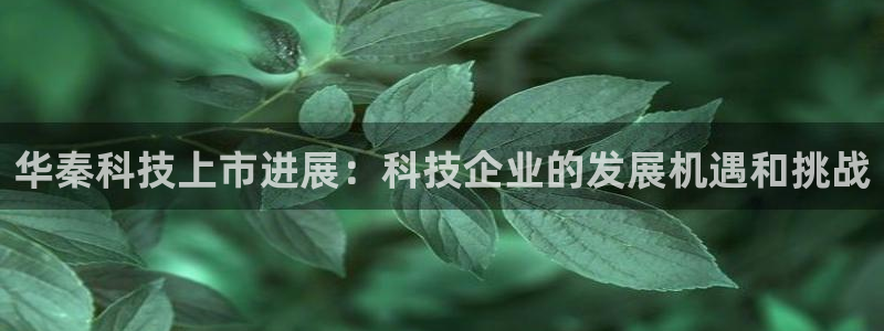 华秦科技上市进展：科技企业的发展机遇和挑战