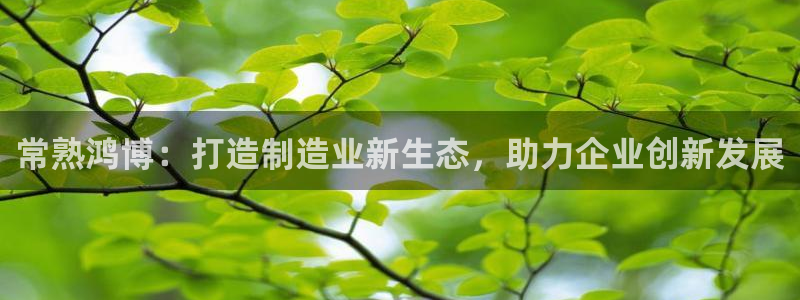 常熟鸿博：打造制造业新生态，助力企业创新发展