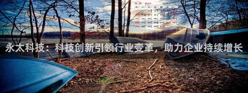 永太科技：科技创新引领行业变革，助力企业持续增长