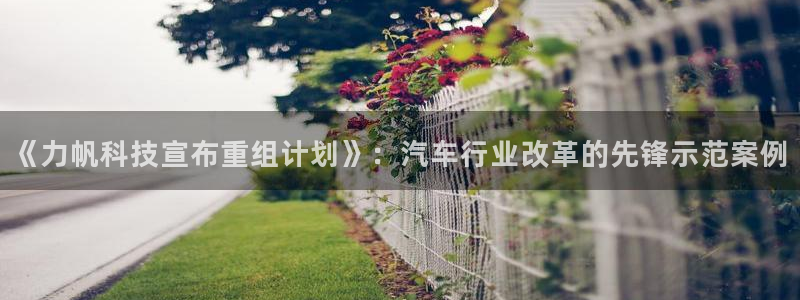 《力帆科技宣布重组计划》：汽车行业改革的先锋示范案例