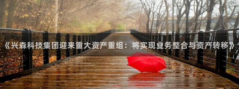 《兴森科技集团迎来重大资产重组：将实现业务整合与资产转移》