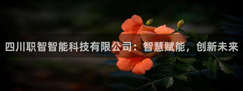 四川职智智能科技有限公司：智慧赋能，创新未来