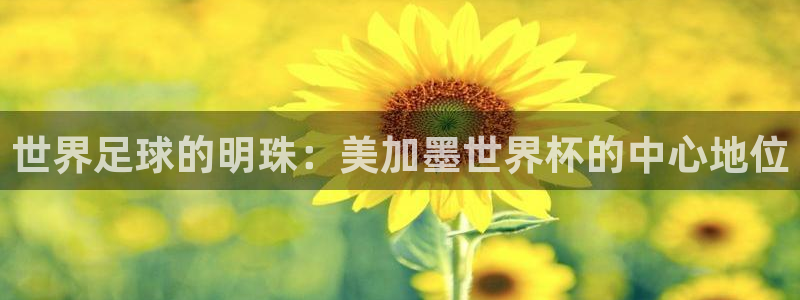 世界足球的明珠：美加墨世界杯的中心地位