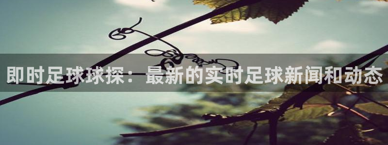 即时足球球探：最新的实时足球新闻和动态