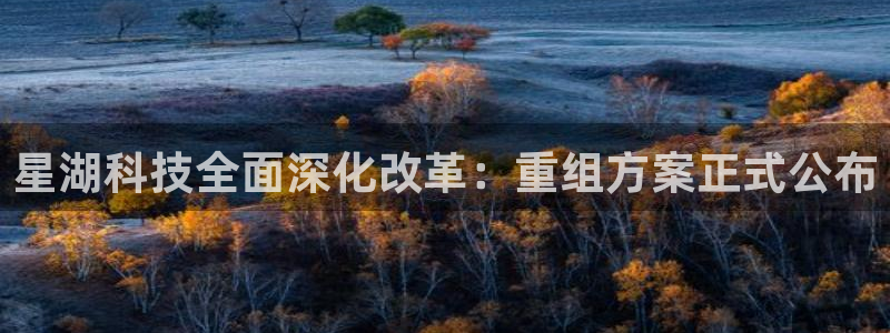 星湖科技全面深化改革：重组方案正式公布