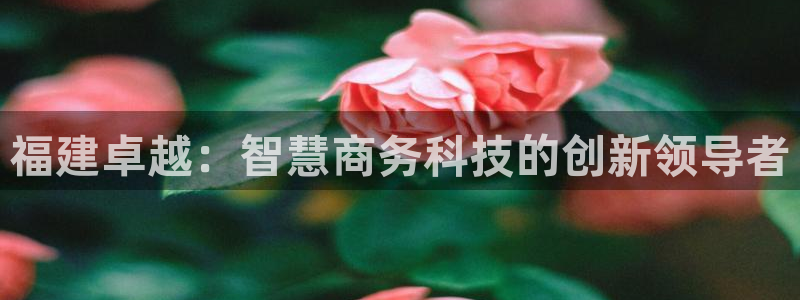 福建卓越：智慧商务科技的创新领导者