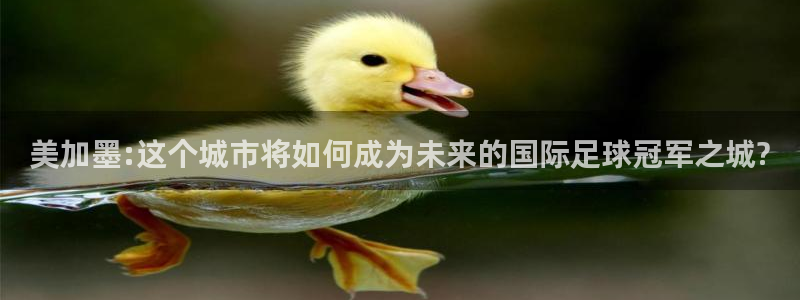 美加墨:这个城市将如何成为未来的国际足球冠军之城?