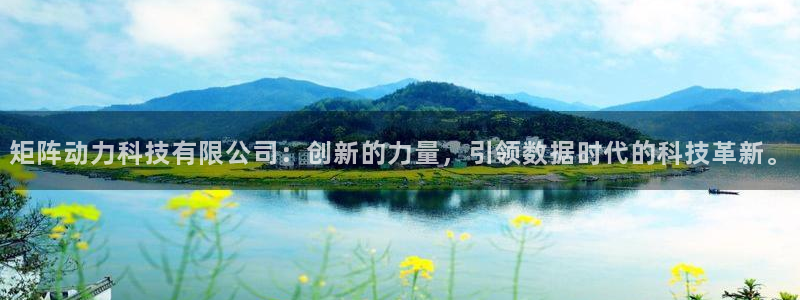 矩阵动力科技有限公司：创新的力量，引领数据时代的科技革新。