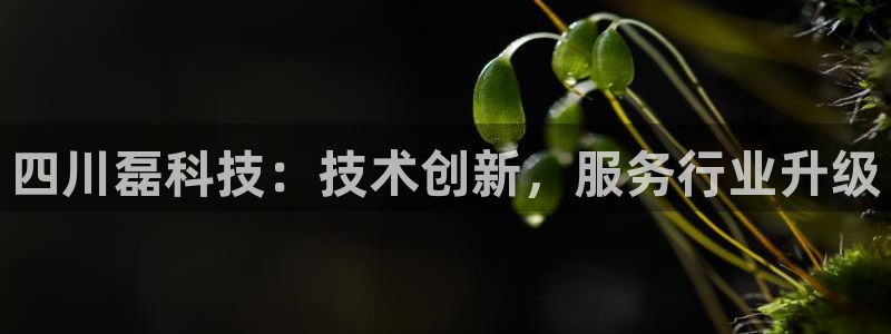 四川磊科技：技术创新，服务行业升级