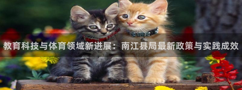 教育科技与体育领域新进展：南江县局最新政策与实践成效