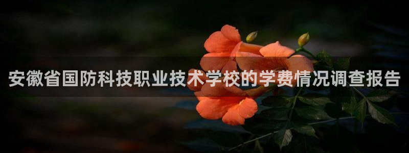安徽省国防科技职业技术学校的学费情况调查报告
