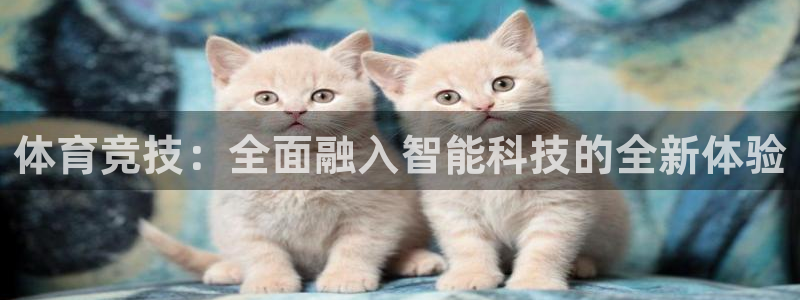 体育竞技：全面融入智能科技的全新体验
