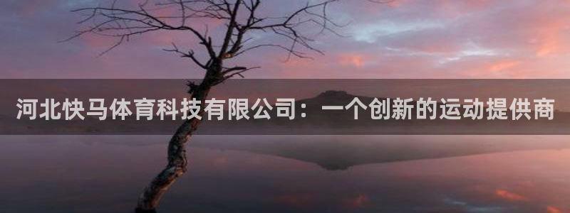 河北快马体育科技有限公司：一个创新的运动提供商