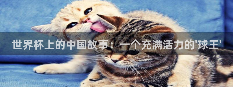 世界杯上的中国故事：一个充满活力的\'球王\'