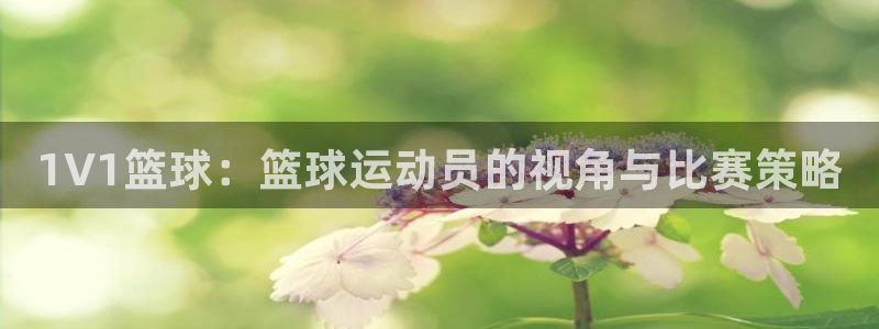 1V1篮球：篮球运动员的视角与比赛策略