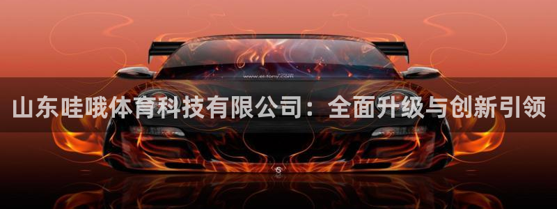 山东哇哦体育科技有限公司：全面升级与创新引领